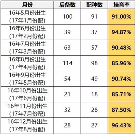 中国养猪网